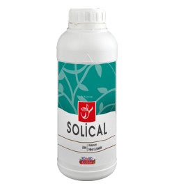 SOLİCAL 1 LT