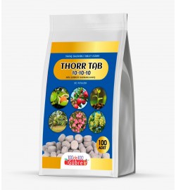 THORR TAB